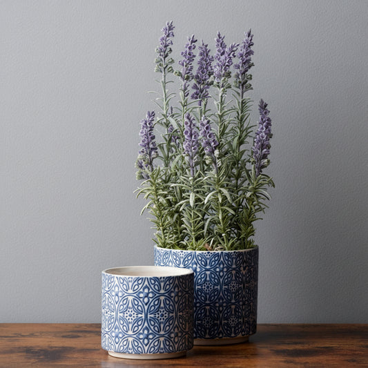Set of 2 Blue and White Ornamental Ceramic Pots for Farmhouse Home Decor