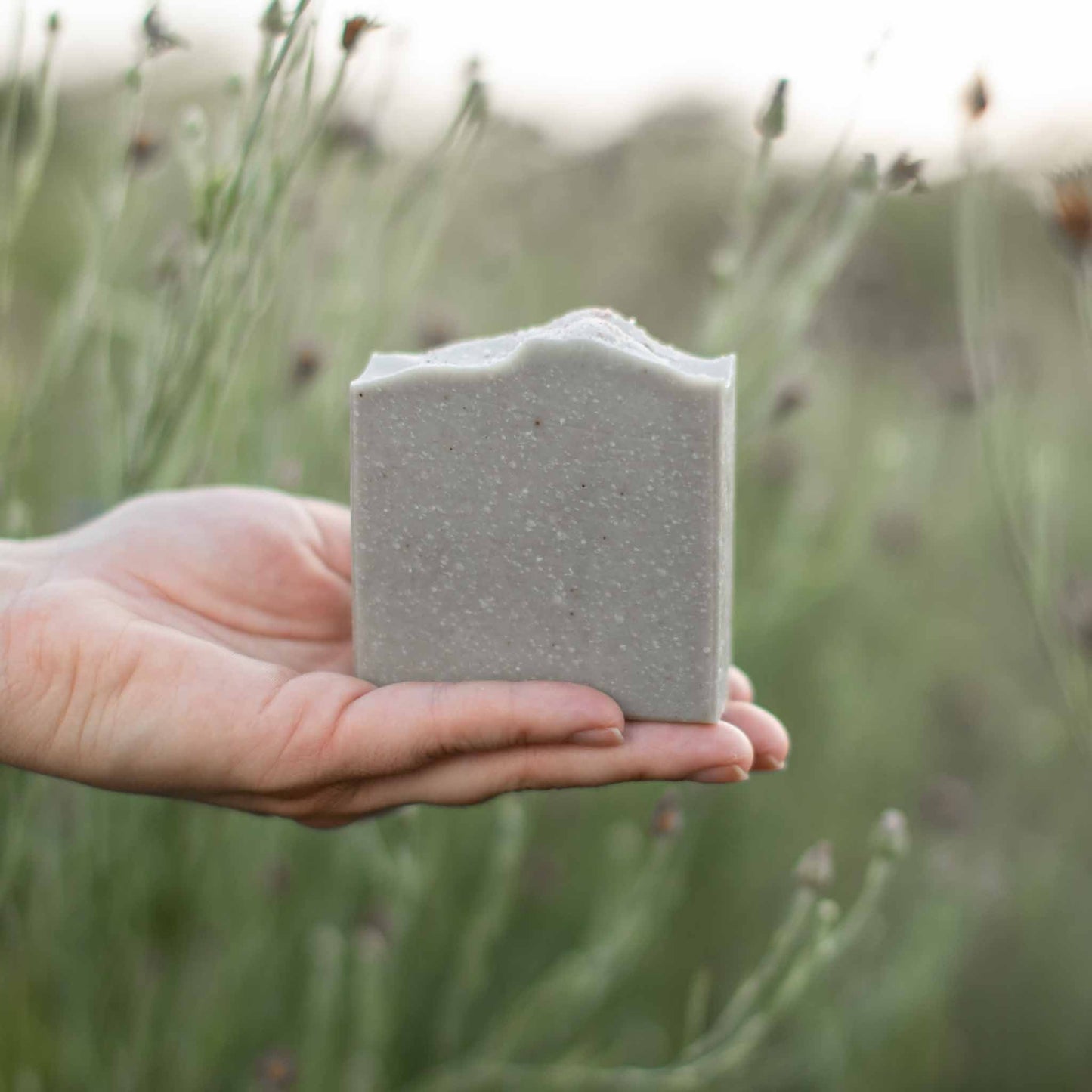 Salt + Sea Bar – Handmade Tallow & Goat Milk Soap