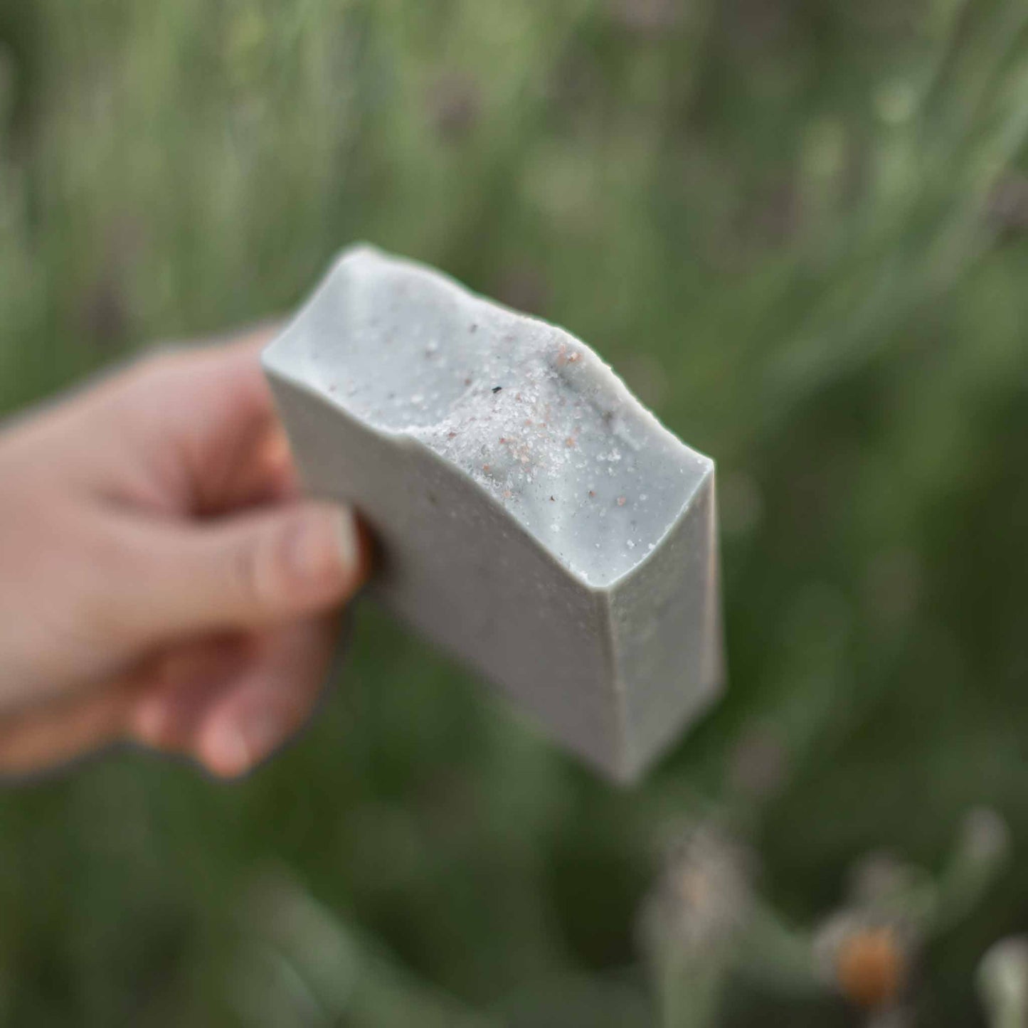 Salt + Sea Bar – Handmade Tallow & Goat Milk Soap