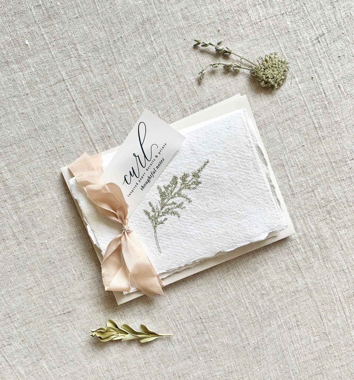 Nature Set — Deckled Edge Note Cards