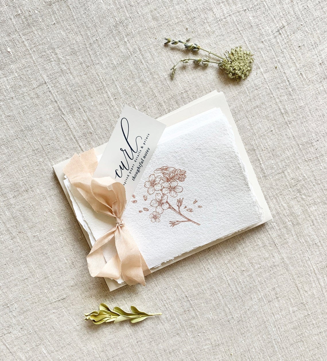 Nature Set — Deckled Edge Note Cards