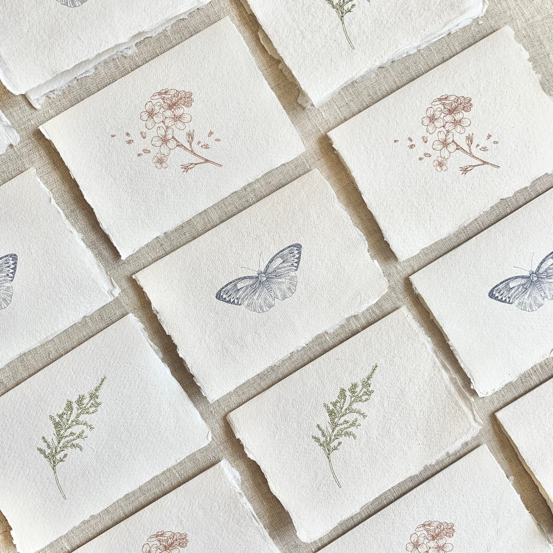 Nature Set — Deckled Edge Note Cards