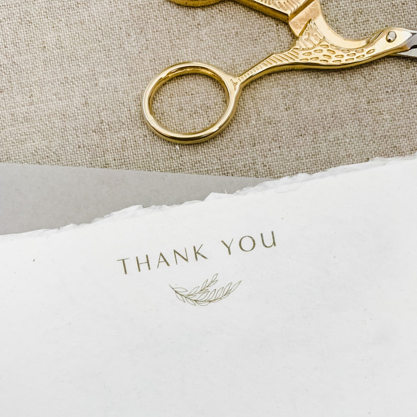 Sophia — Thank You Note Cards