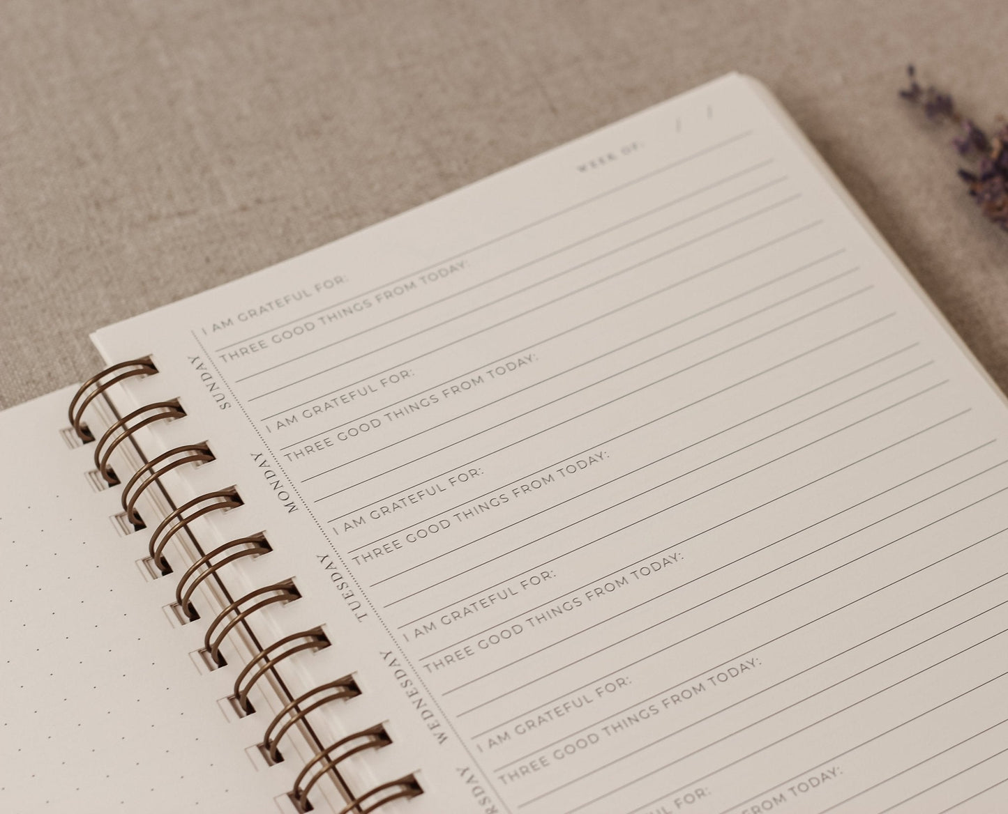 Surround Yourself with Happiness Journal – Daily Gratitude & Positivity, Full Year