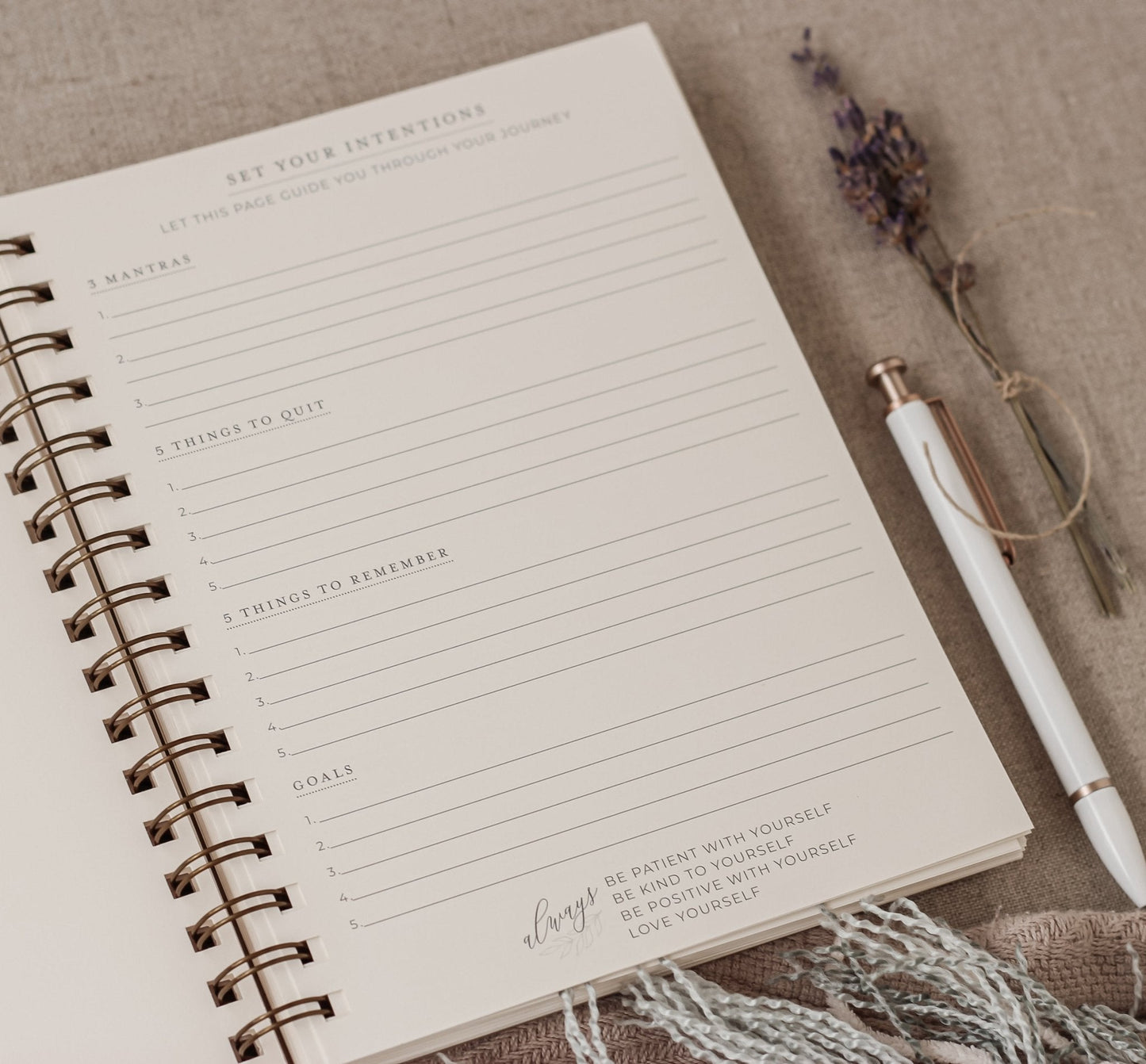 The Alignment Bundle — A Space to Find Your Center